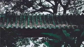山路元无雨·空翠湿人衣 