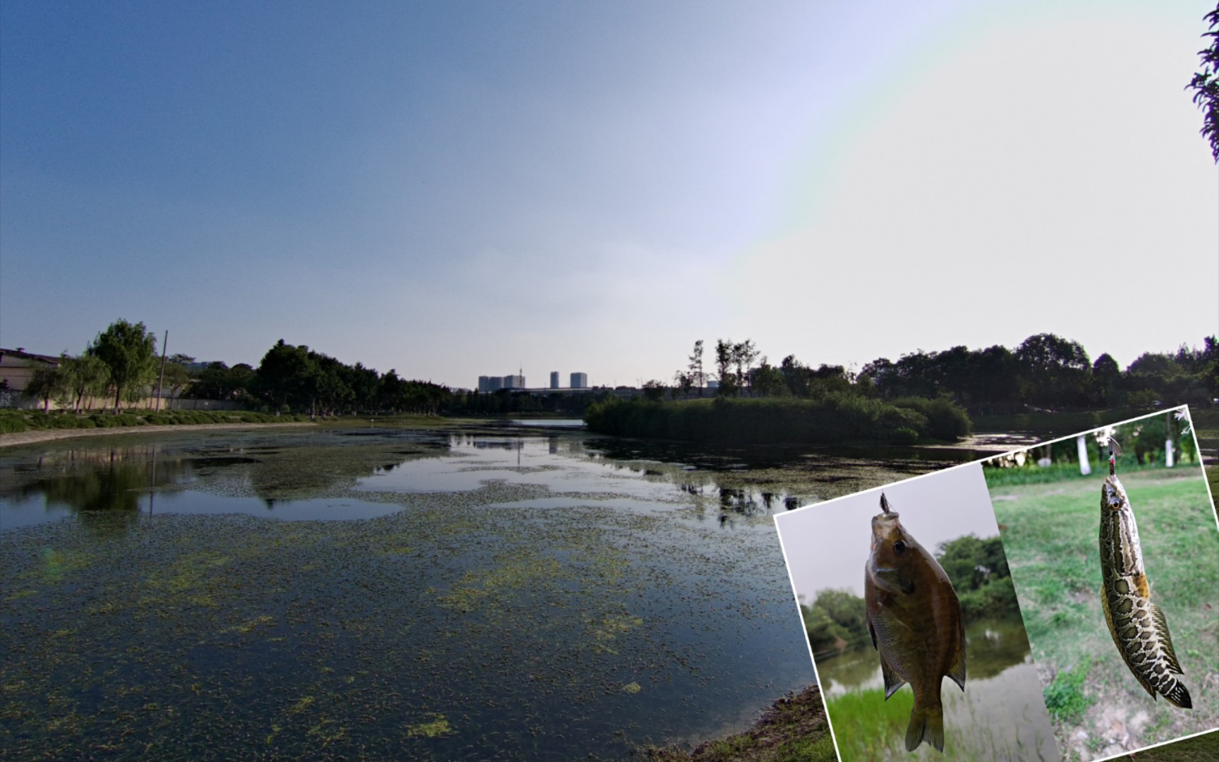 公園白嫖記(昇仙湖盤老闆)