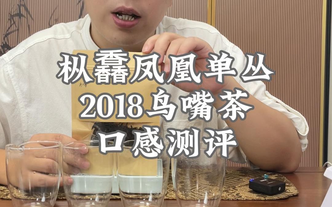 大牌企业2018凤凰单丛鸟嘴茶4.5千/斤口感测评哔哩哔哩bilibili