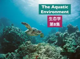 Video herunterladen: 托福背景知识-生态学8-The Aquatic Environment