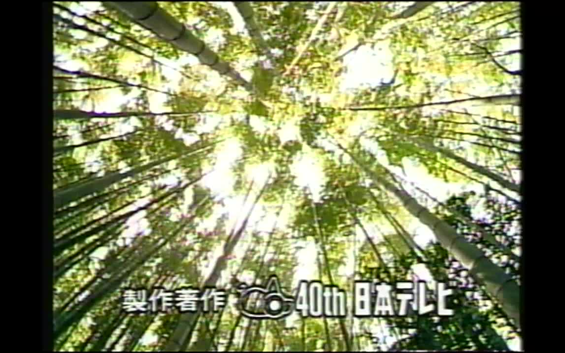 1993年日本电视台(NTV)《知ってるつもり?!》节目片段、中插及后面广告哔哩哔哩bilibili