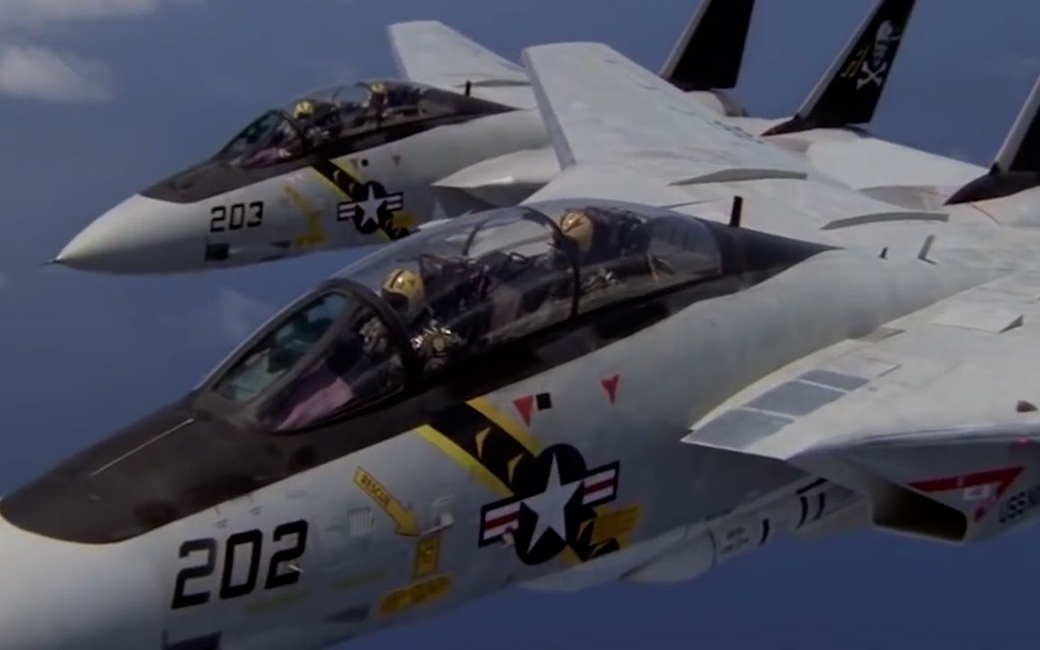 [图]【合成波浪潮】格鲁门F-14"雄猫" F-14 fighter“Tomcat”2