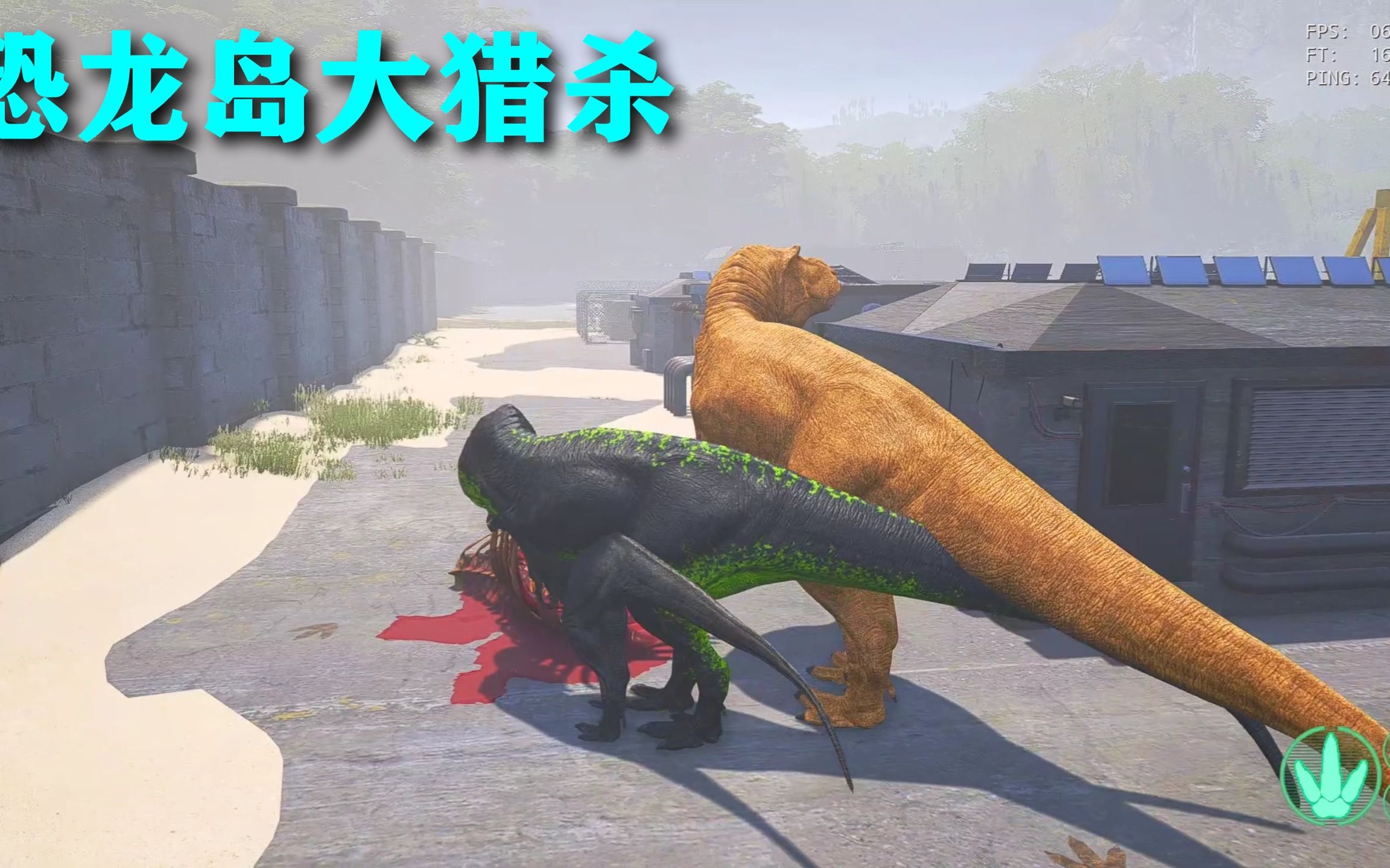 二、游戏的特色