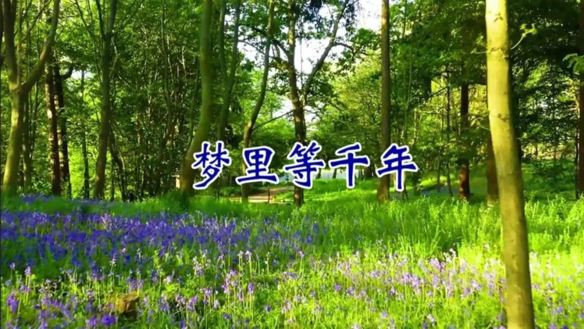 陶笛曲《梦里等千年》,旋律古风空幽,非常好听