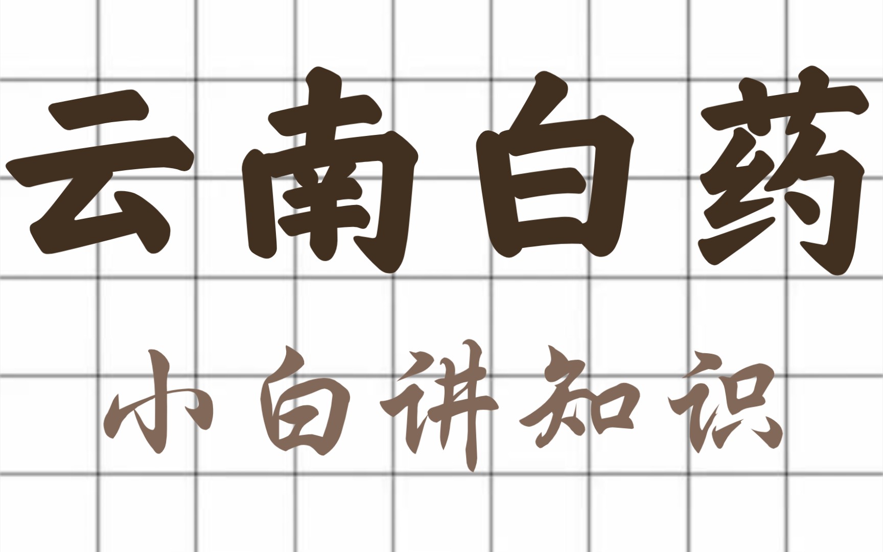 云南白药标志logo图片-诗宸标志设计