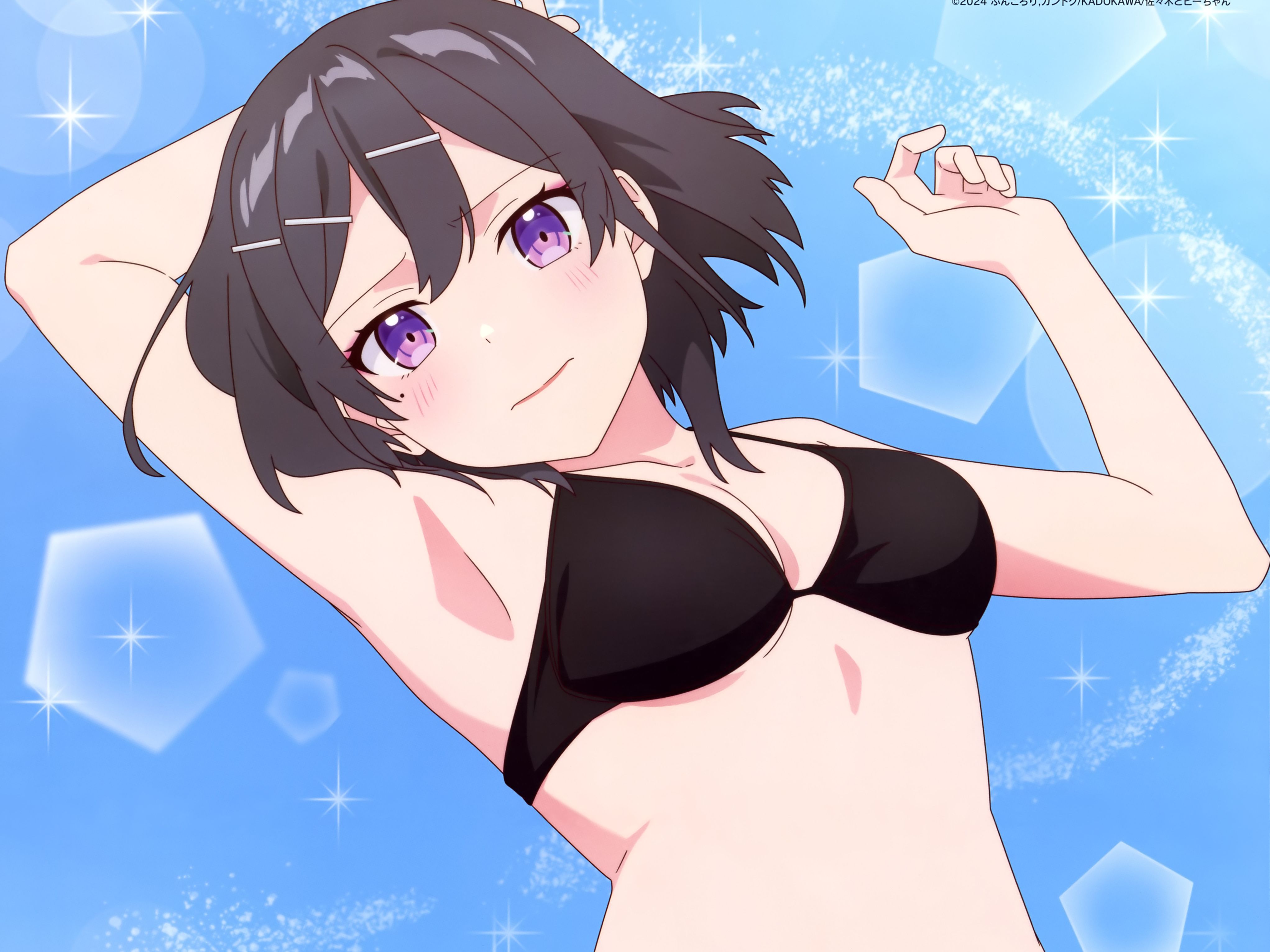 【日本动画/杉田智和&悠木碧】佐佐木与文鸟小哔 第二季 决定制作pv