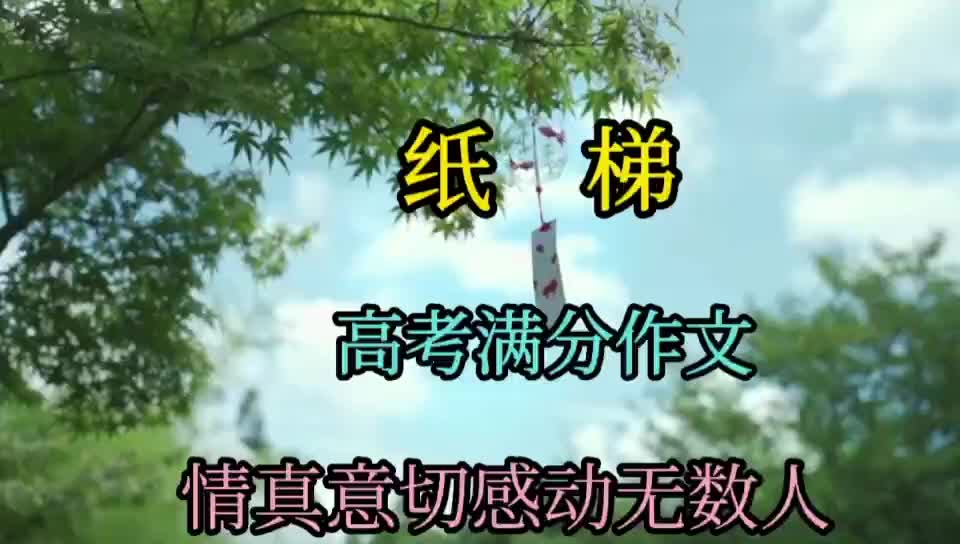 高考满分作文《纸梯》感动无数人哔哩哔哩bilibili