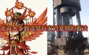 Download Video: 【造梦无双】大多数无双玩家对宠物的看法