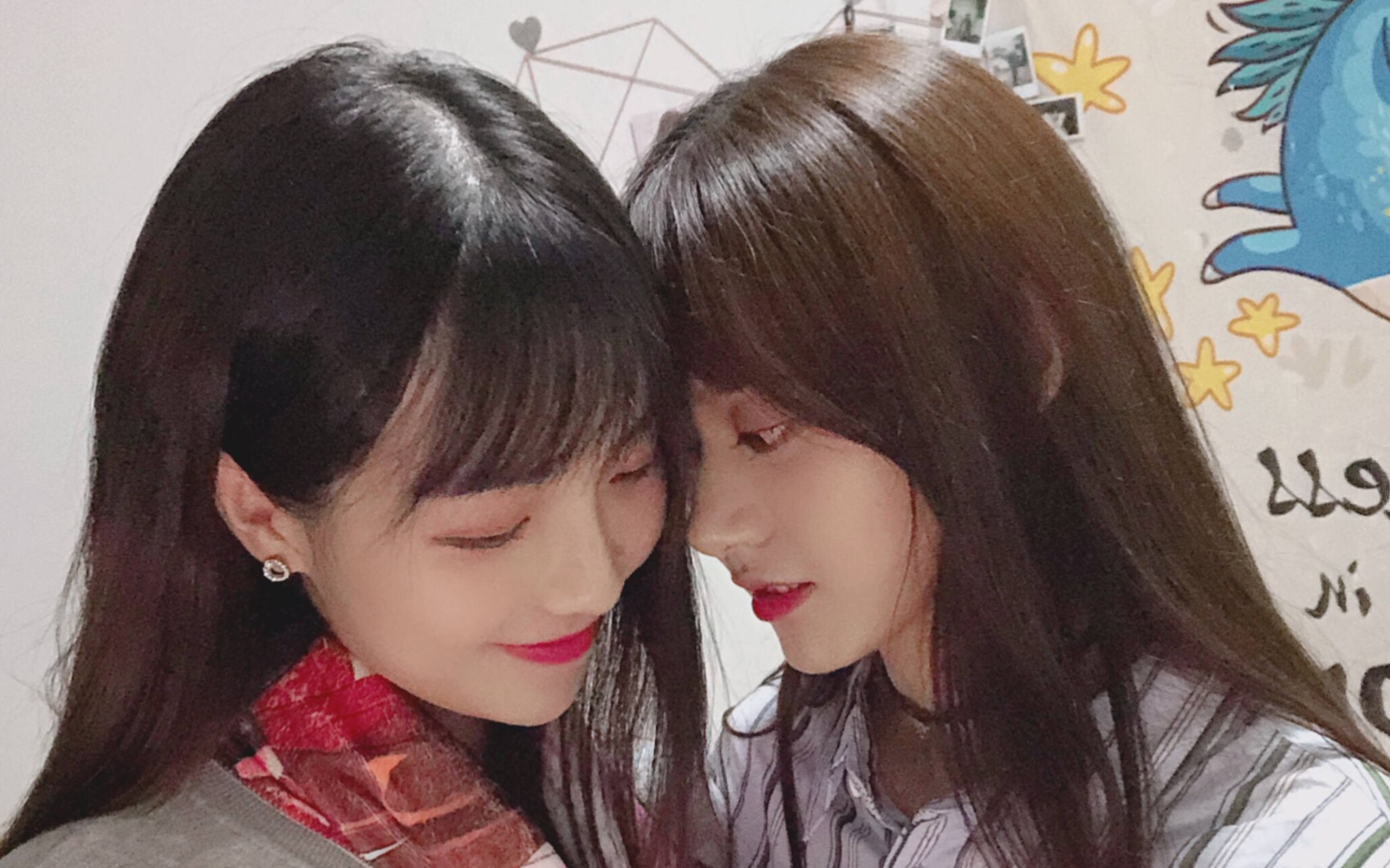 [snh48]teamhii爱吃兔cp群像