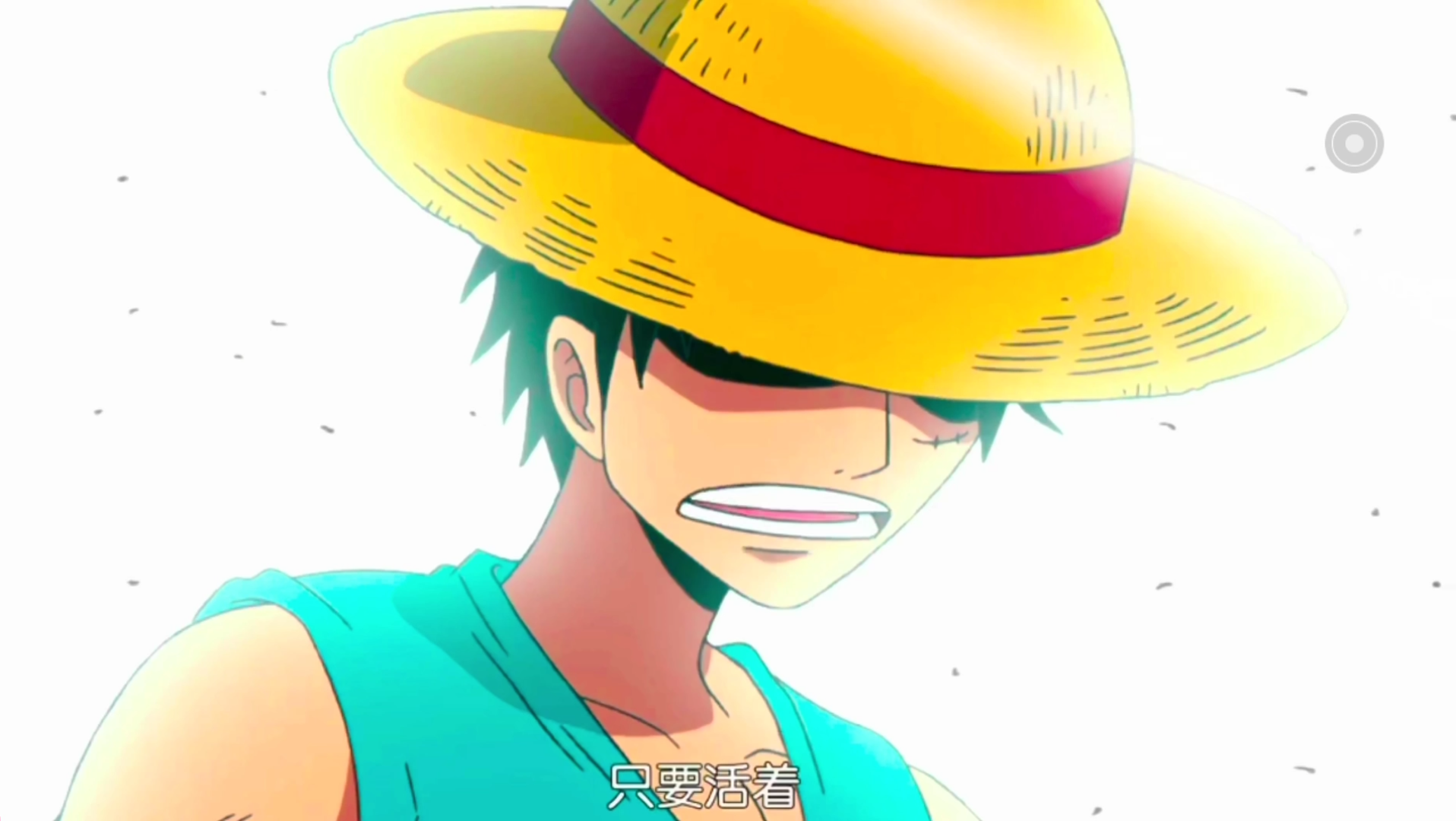 我是要成为海贼王的男人![高燃混剪]