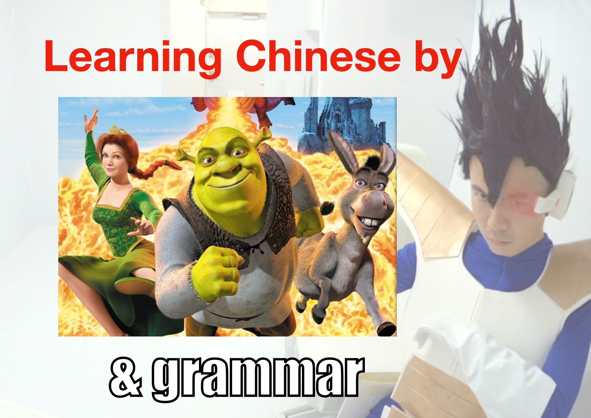 [图]【DAY17】Learning Chinese with cartoon_ Shrek 怪物史瑞克  & learning grammar (part1)