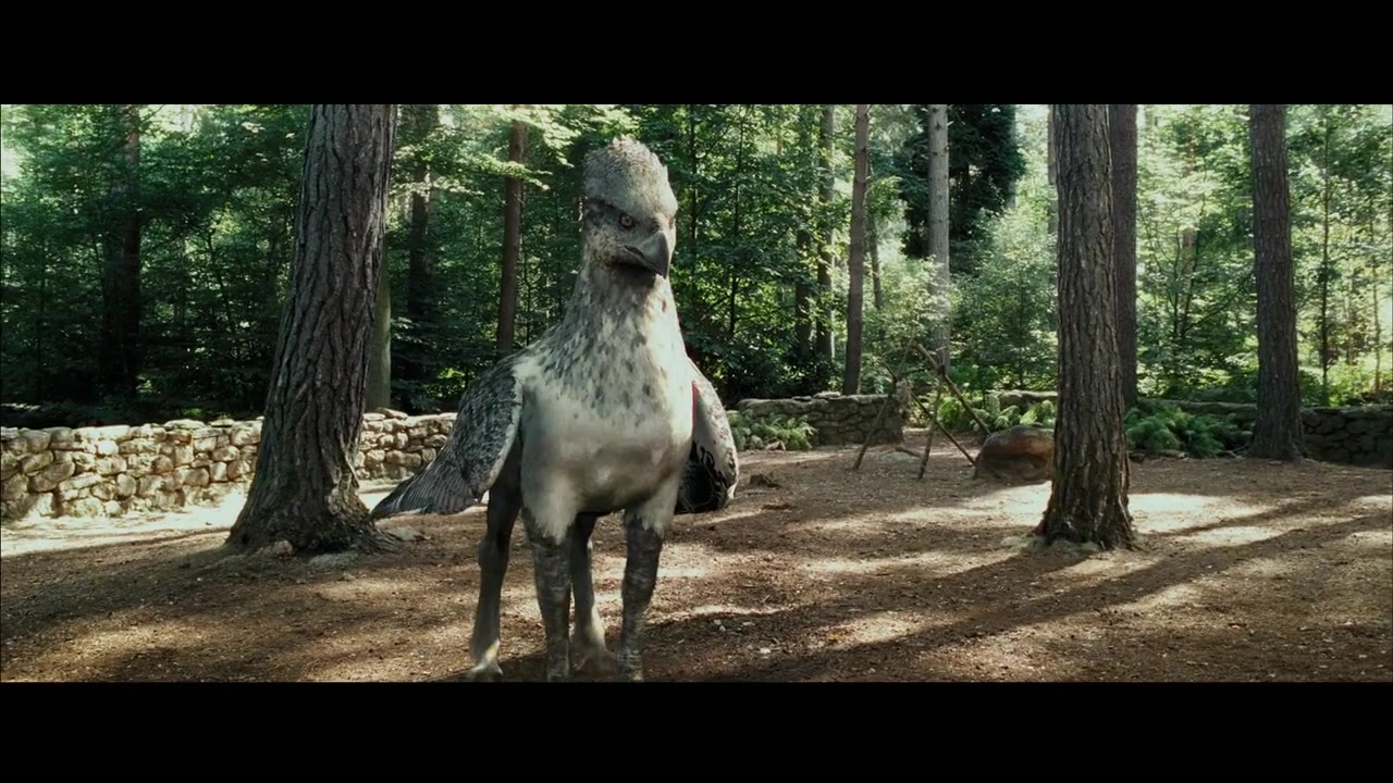 混剪以动物世界的方式打开哈利波特