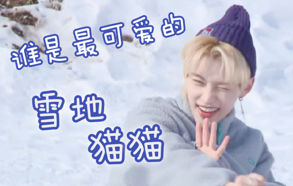 【Felix/菲菲】睁不开眼的雪地菲力猫合集哔哩哔哩bilibili