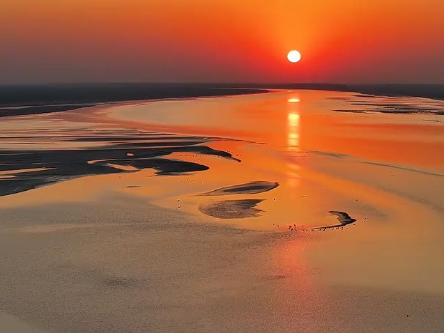 菏泽市东明县:落日黄河 大雁纷飞