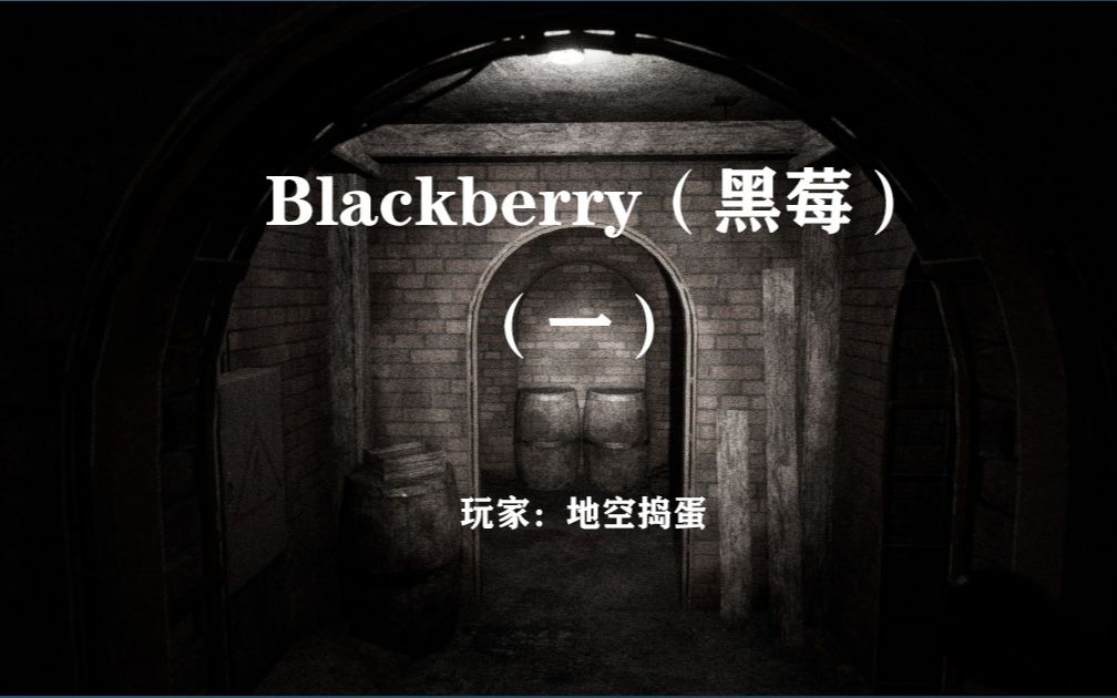 [图]Blackberry（黑莓）1