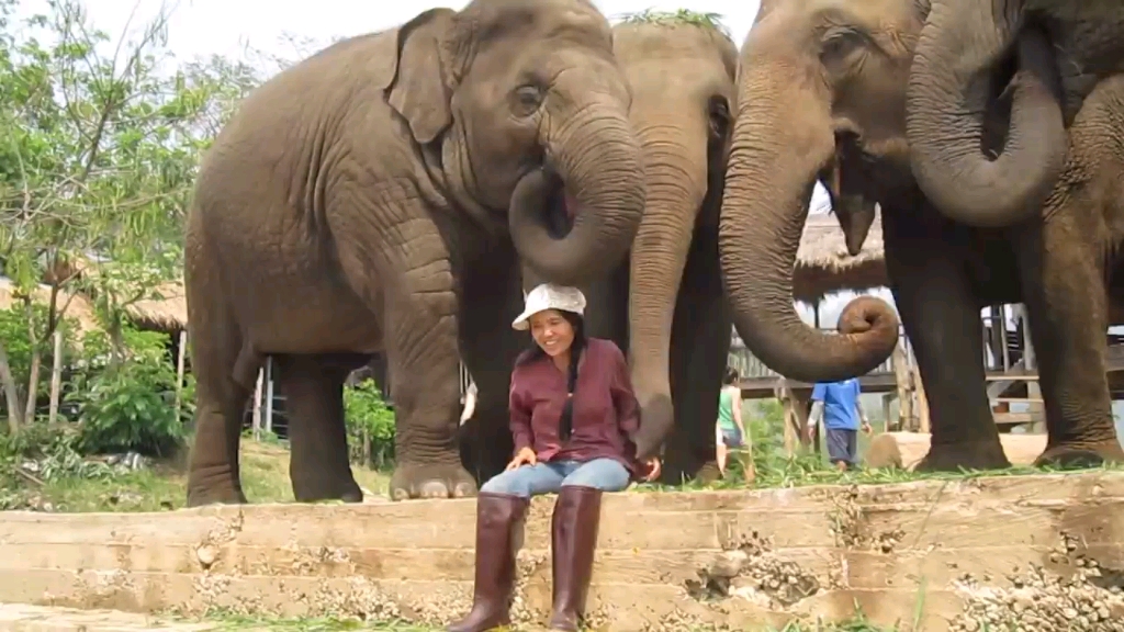 我們在大象面前太渺小了,亞洲象和飼養員,動物世界