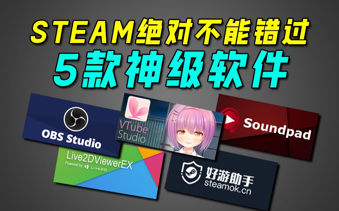 5款steam好用到飞起的神级软件!不用真的会后悔两年半!游戏杂谈