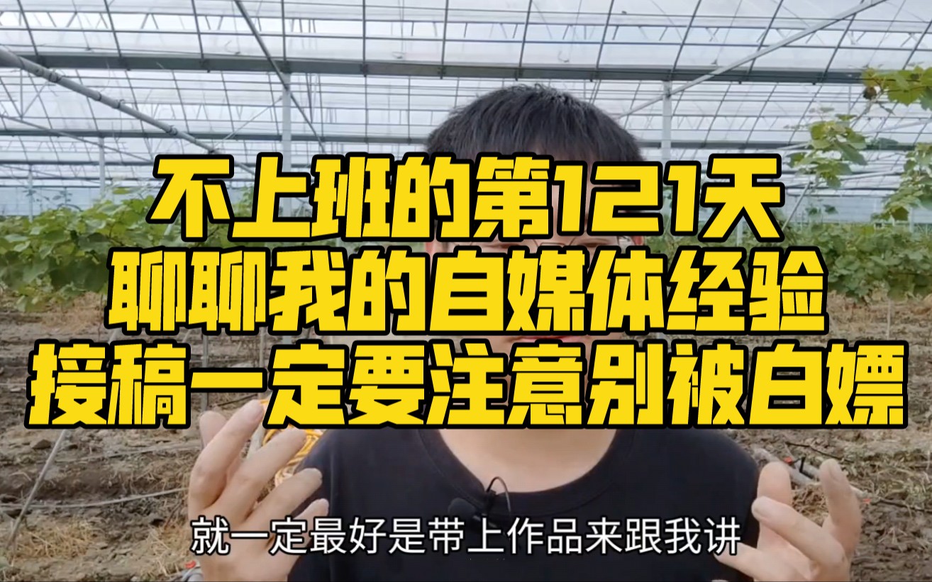 不上班的第121天,聊聊我做自媒体的接稿经历,一定要注意别被白嫖哔哩哔哩bilibili