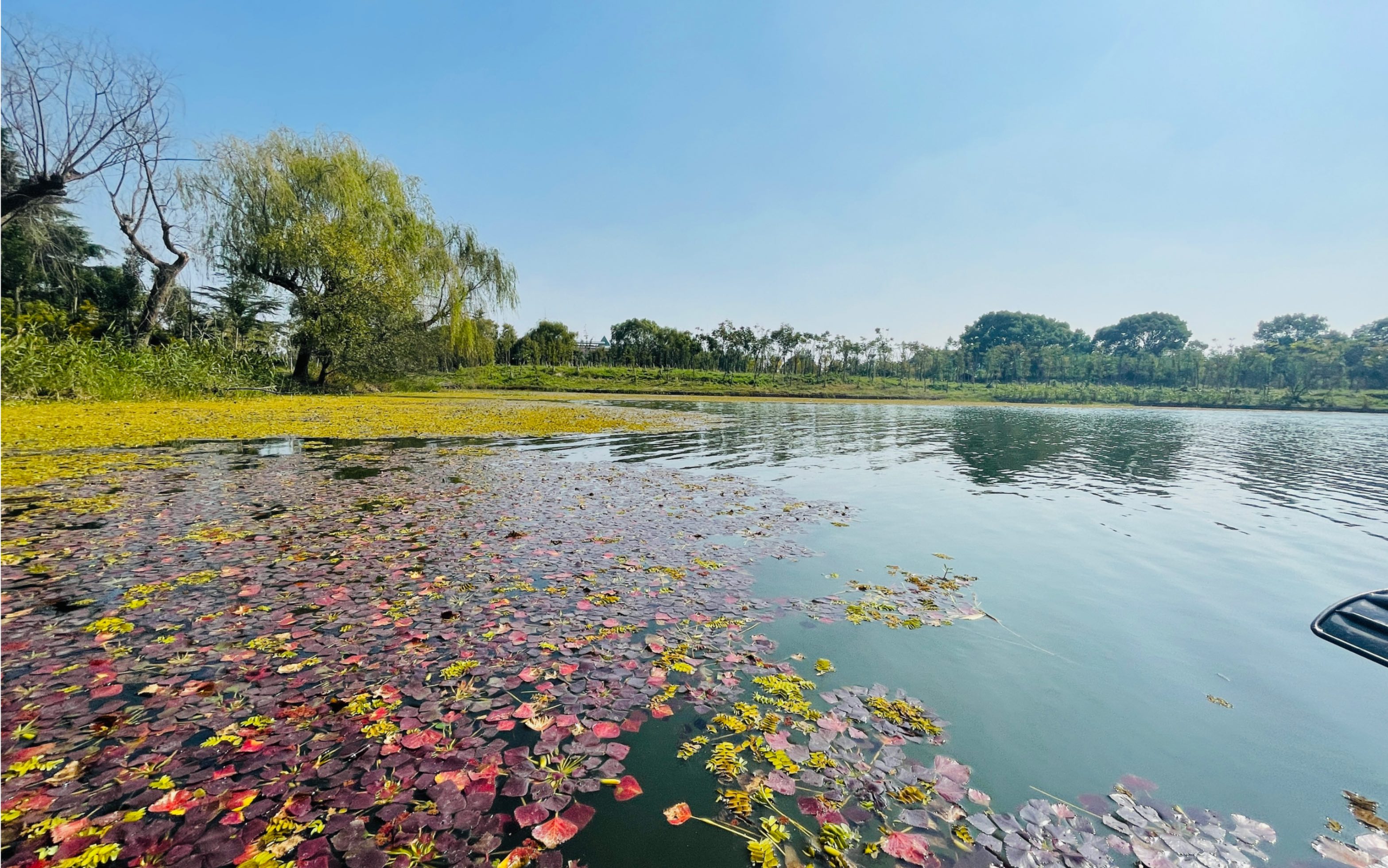 上海太阳岛风景区图片
