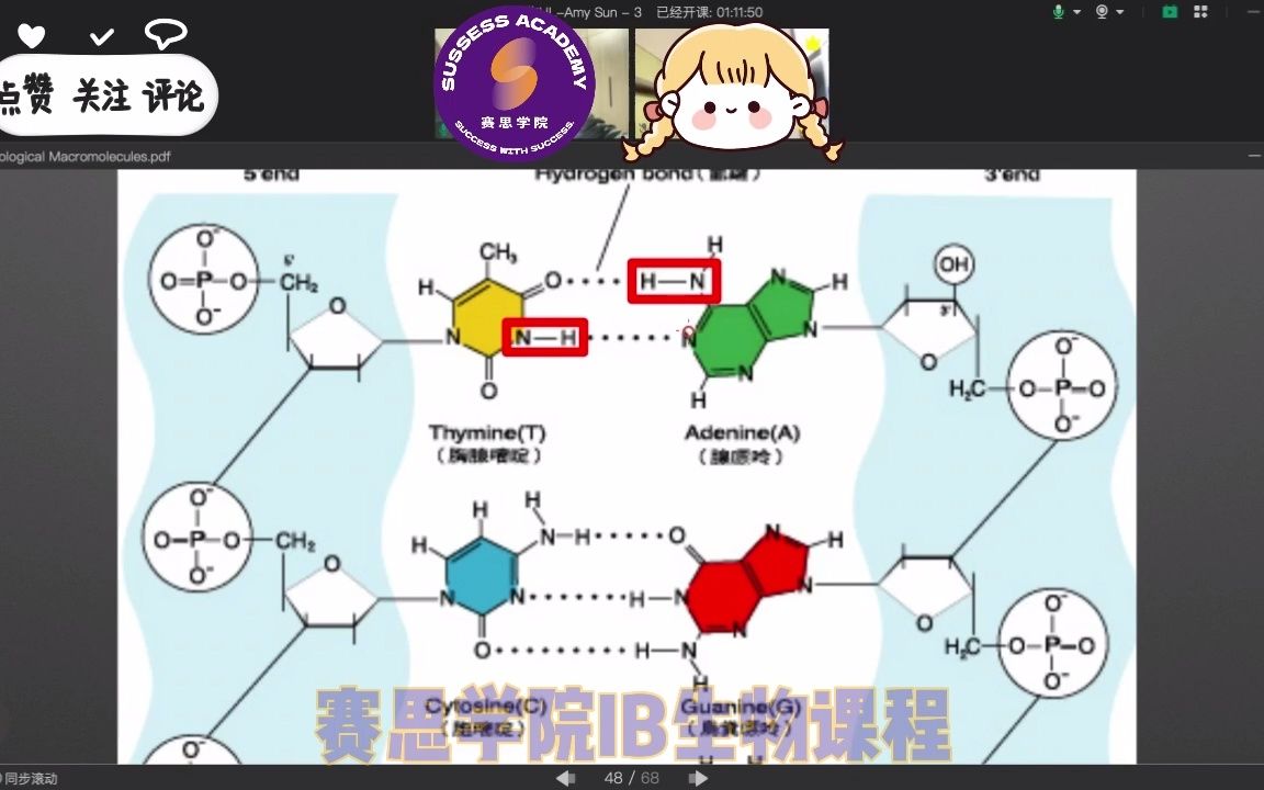 都说IB生物HL超级难,这些知识点你听懂了吗?说说你的IB生物学习困扰是什么?哔哩哔哩bilibili