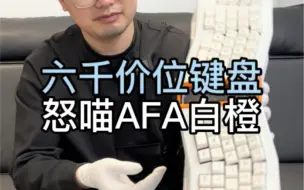 Descargar video: 花六千块多组装一个键盘，怒喵AM AFA白橙。