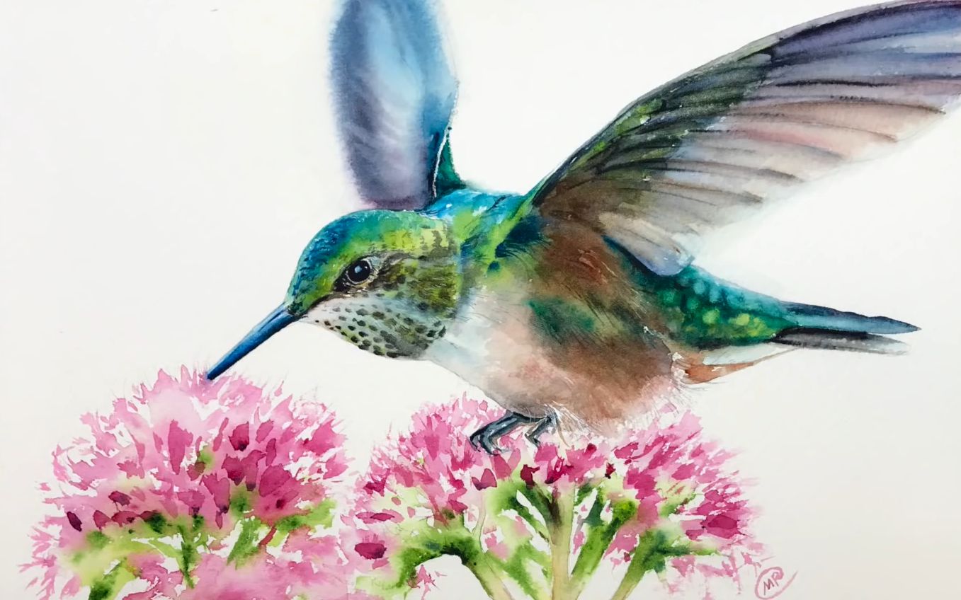 【水彩】蜂鸟