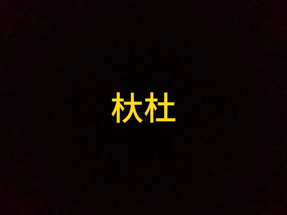 杕杜哔哩哔哩bilibili