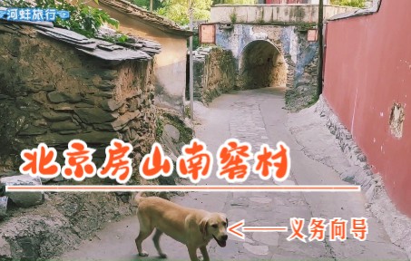 顺天府房山县太平里南窖村,一只大黄狗做义务向导,北京郊区保存最好的古村落之一哔哩哔哩bilibili