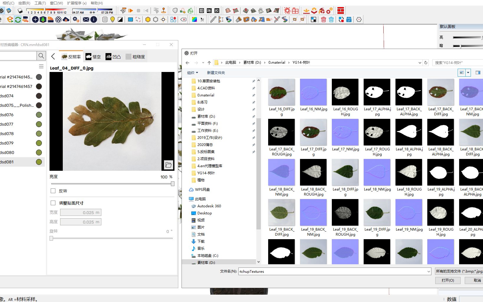 【ENS、3D、C4D等】40种形色各异的树叶,让寒冬中的你感受生机.哔哩哔哩bilibili