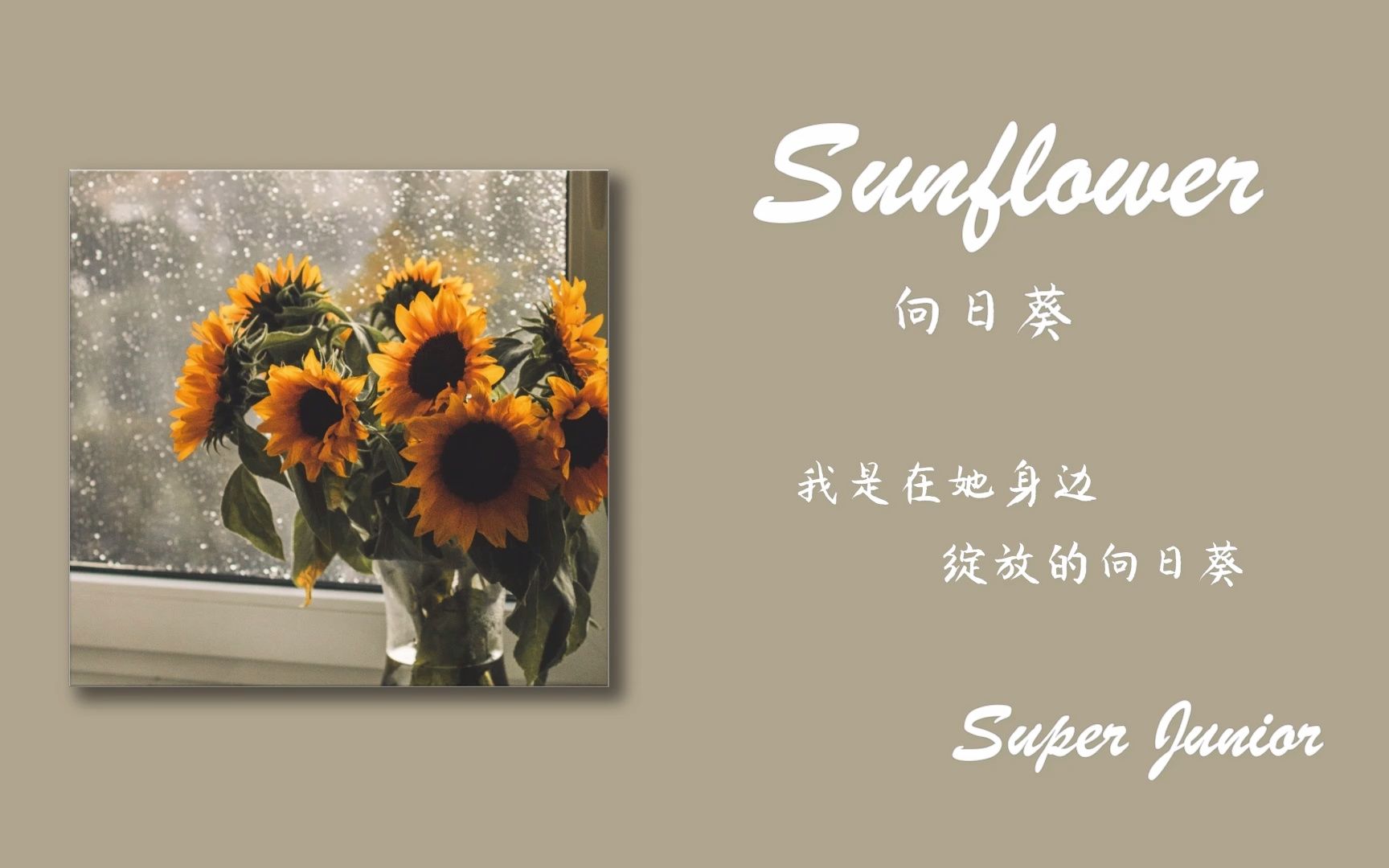 [图]【日推歌单】每日蓝家宝藏非主打《Sunflower(向日葵)》"我是在她身边 绽放的向日葵"