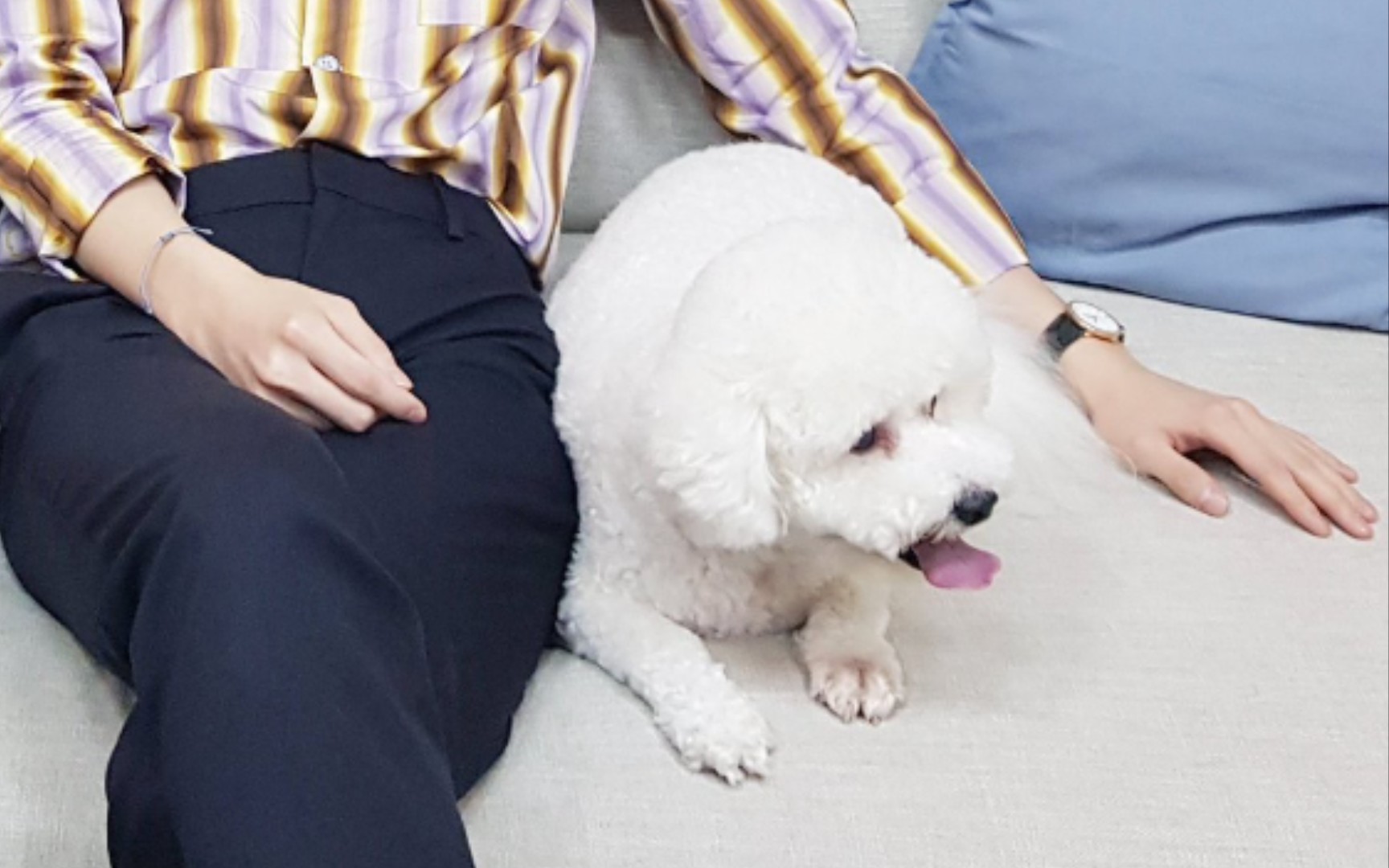 【吴世勋】好久不见 vivi啊～【和男友散步】