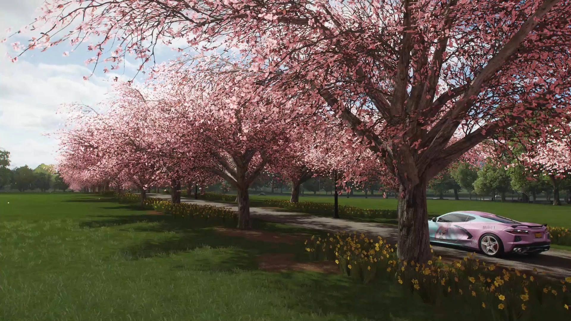 地平线4风景卡点