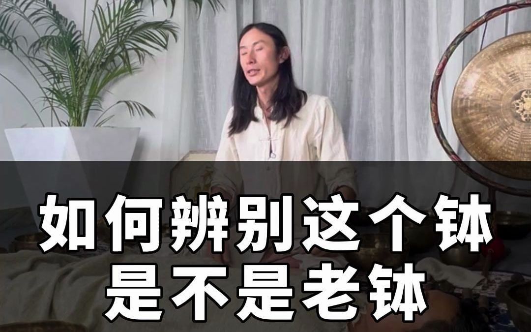 如何辨别这个钵是不是老钵哔哩哔哩bilibili