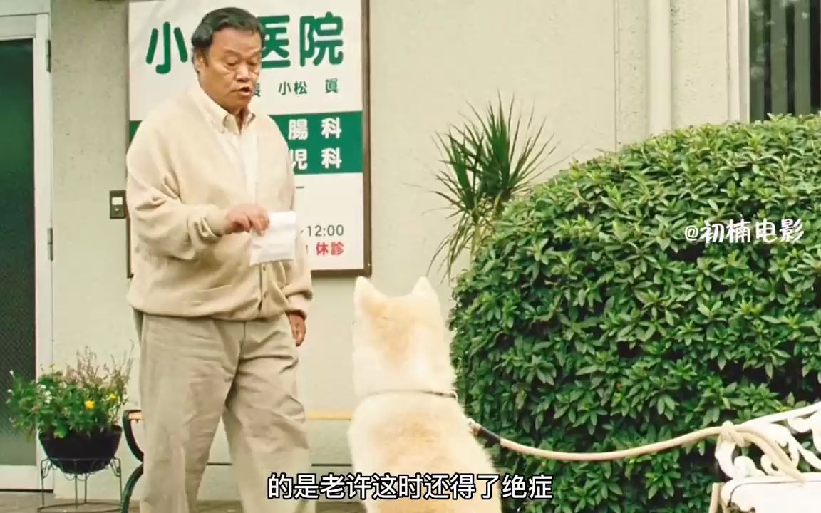 [图]不抛弃，不放弃 老人与狗的故事#星守之犬