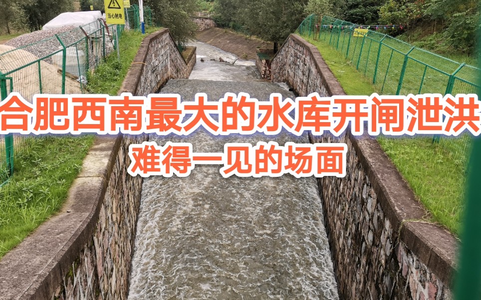 合肥西南最大的磨墩水库开闸泄洪,场面壮观,难得一见