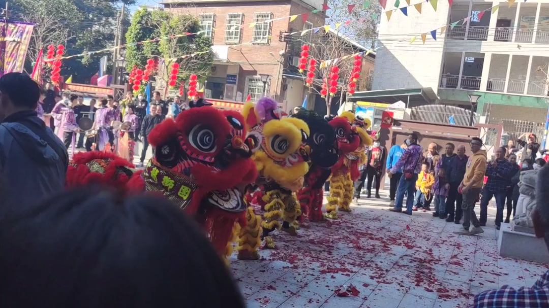 [图]#春节全记录#广东习俗舞狮庆祝新春佳节。