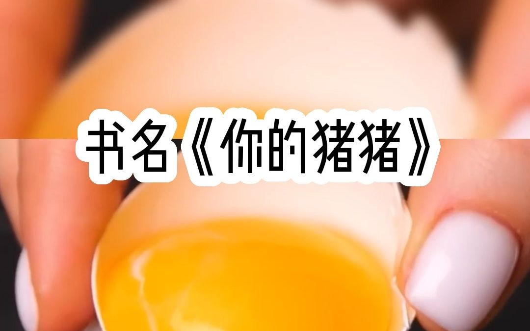 今日头条app《你的猪猪》第一集哔哩哔哩bilibili