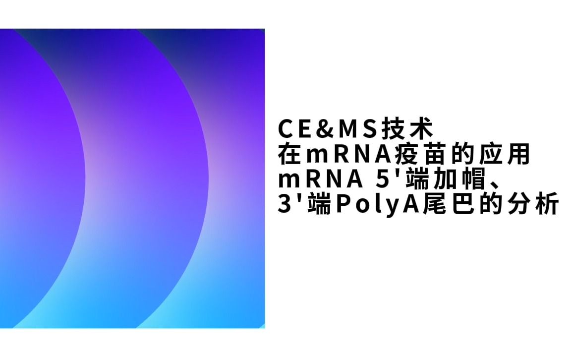 CE&MS技术在mRNA疫苗的应用:mRNA 5'端加帽、3'端PolyA尾巴的分析哔哩哔哩bilibili