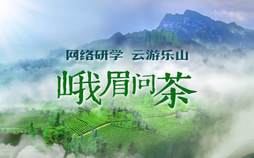 [图]云游乐山|探究中国顶级绿茶之一峨眉山茶的文化奇缘（下）