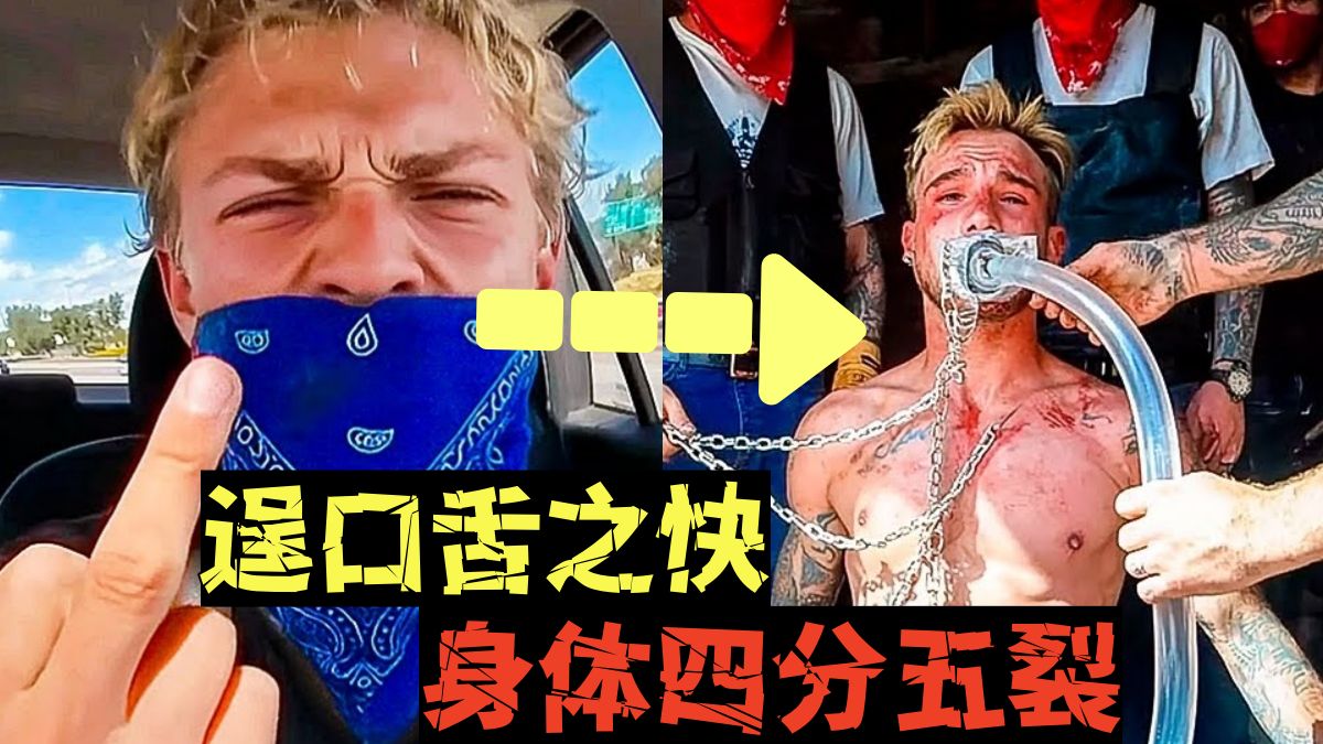 【我活够了】当网红惹到毒贩，等待他们的是各种各样的死法