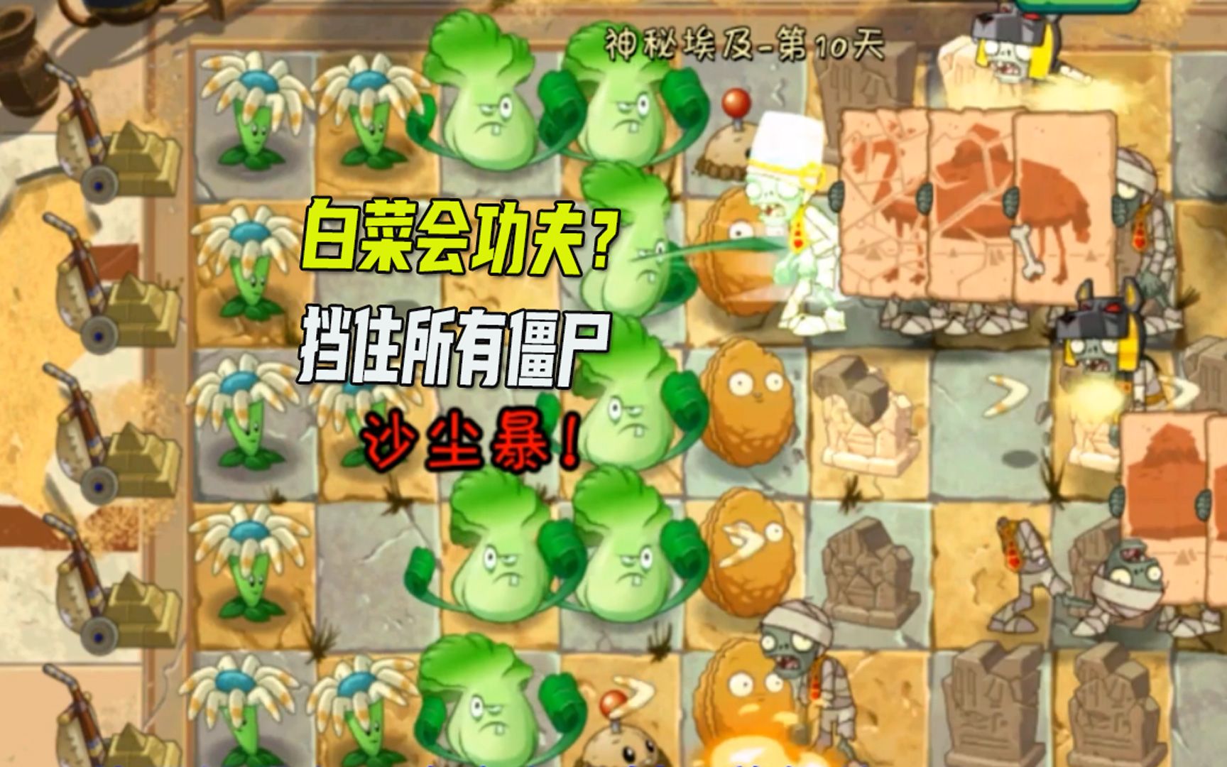 植物大战僵尸 06哔哩哔哩bilibili