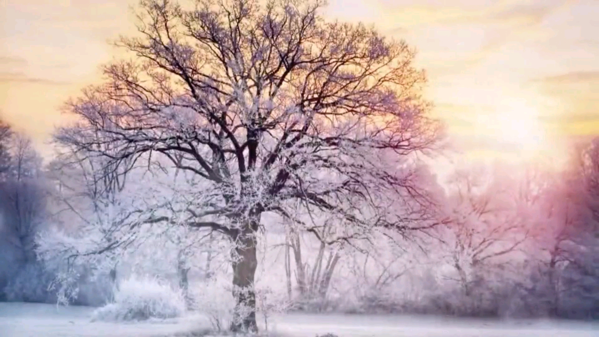 [图]乔佳旭《雪下的时候》是想念的汹涌，雪下的时候你想起了谁？这首歌也太好听了吧！