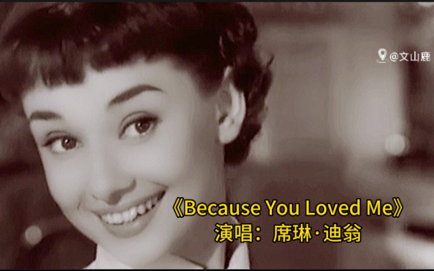 [图]席琳·迪翁不朽金曲《Because You Loved Me》，太有感觉，真好听