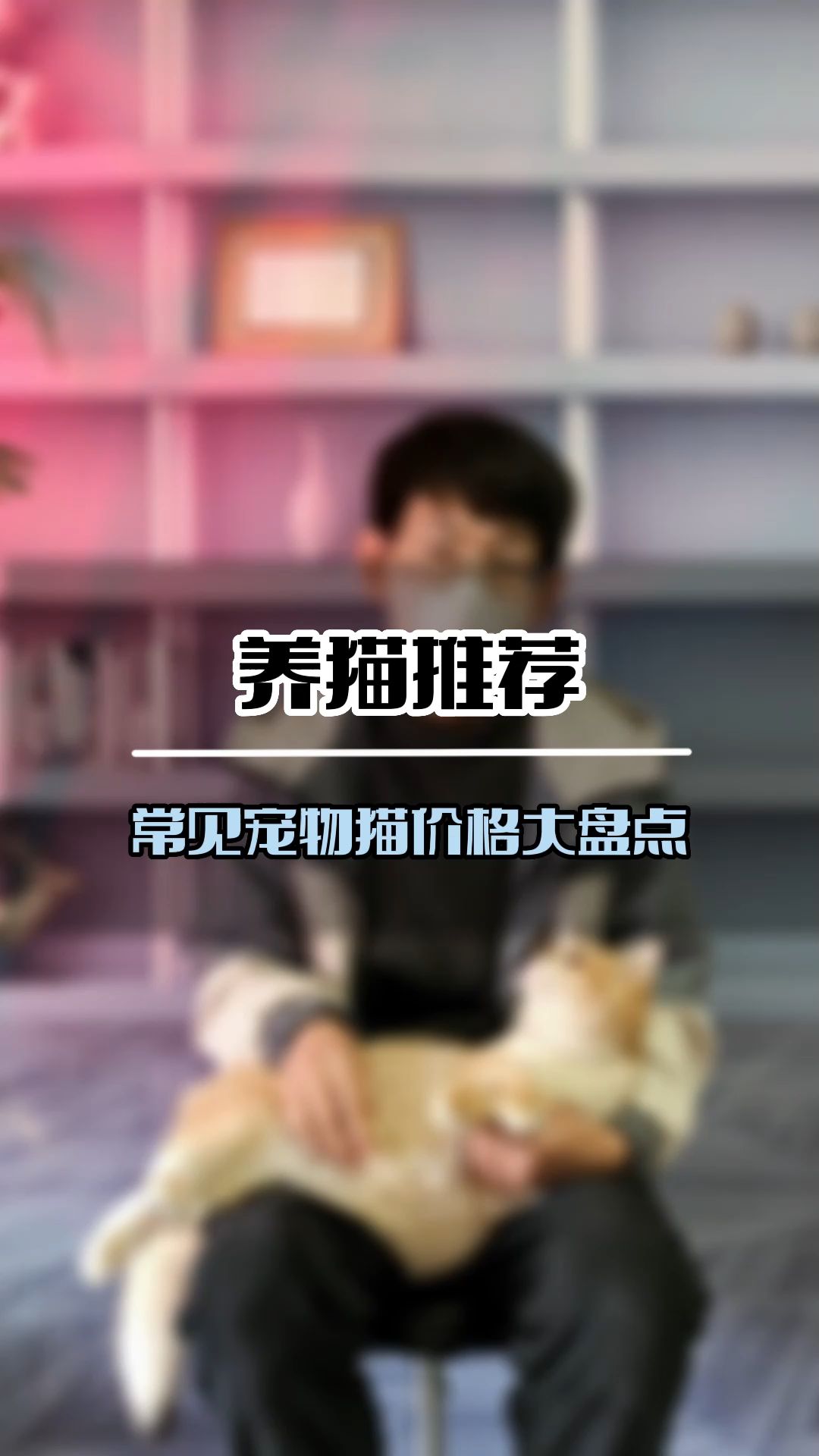 常见宠物猫价格盘点(18341)哔哩哔哩bilibili