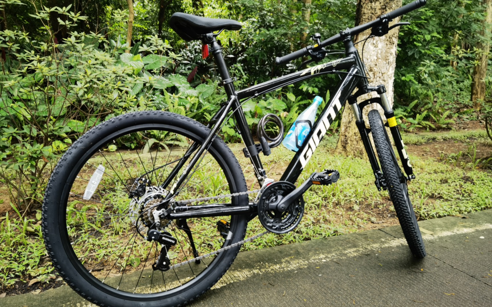 活动  人生第一辆自行车,我选择了捷安特atx620