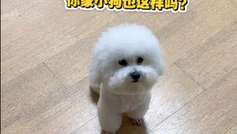 小狗的性格会变吗？我家这个急性子能改好吗？