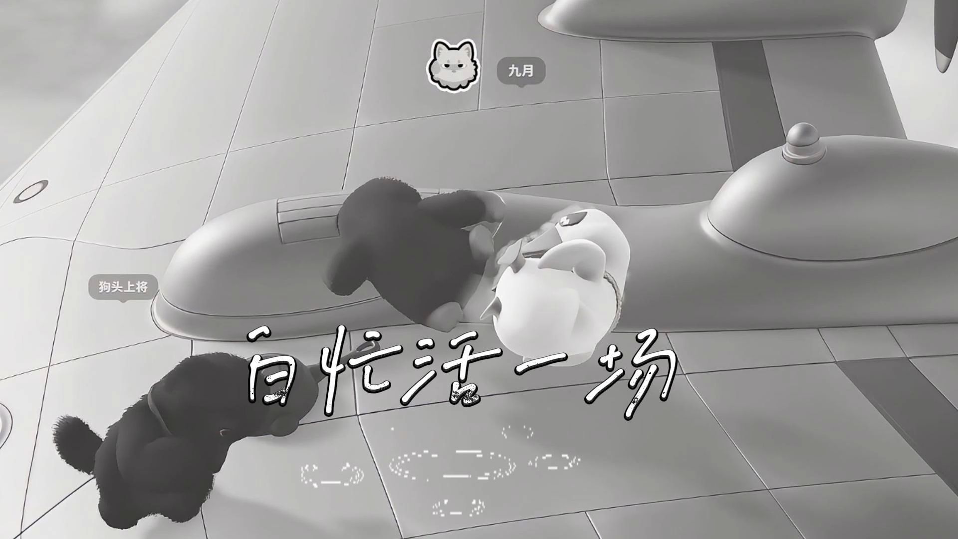 白忙活一场