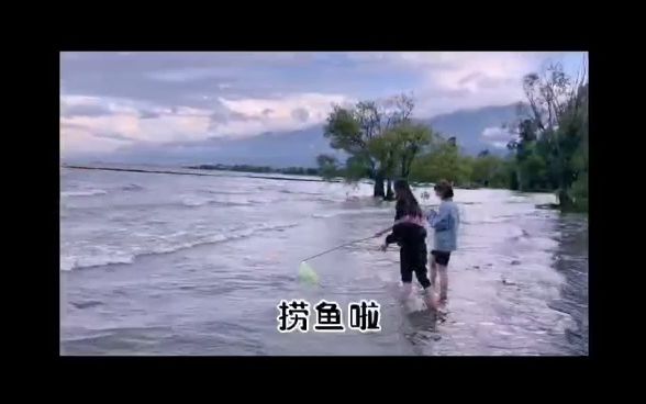 [图]洱海片区+“景”世芳华+生活碎片+马骋芳、吴语潇