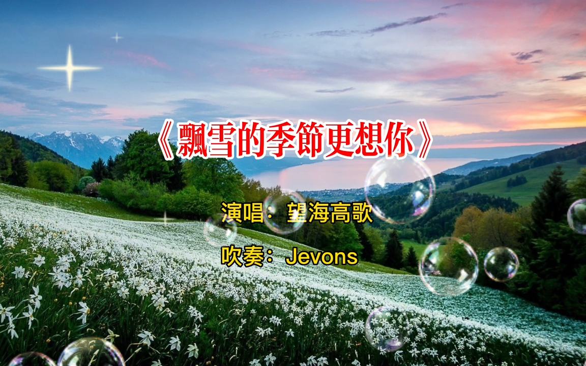 《飘雪的季节更想你》,思思念念都是你9595