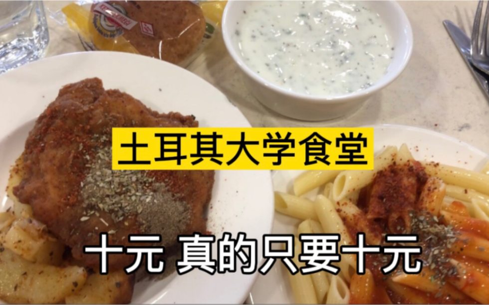 [图]土耳其贵族大学食堂 十元套餐！解锁新菜单！